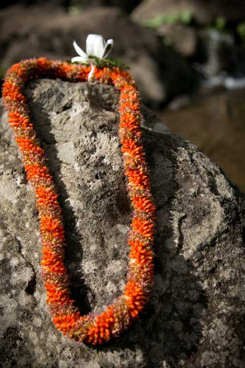 Cigar Lei - not a strong fragrance lei. Ideal for men