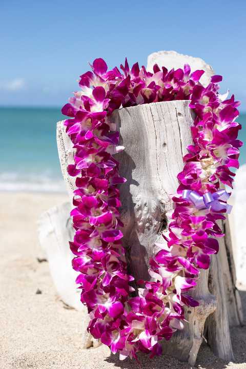 Deluxe Lei - our most lavish lei with three times the amount of flowers compared to the Standard Lei
