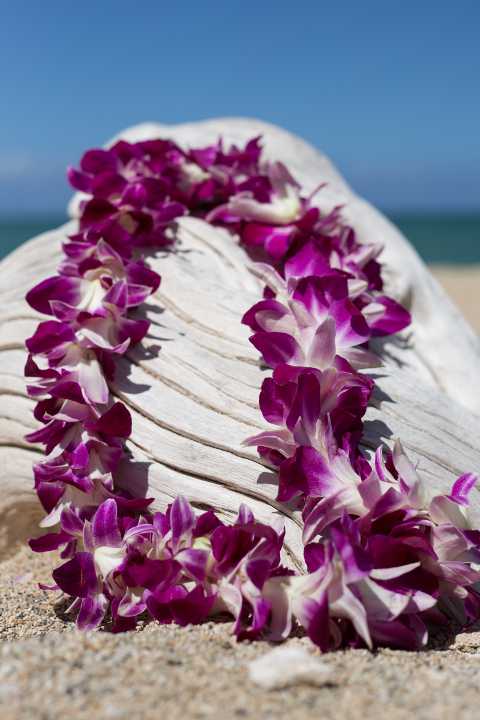 Standard Lei - a single strand of flowers